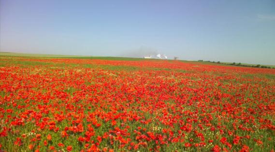 Saint-Blimont Les Coquelicots En Baie De Somme 빌라 외부 사진